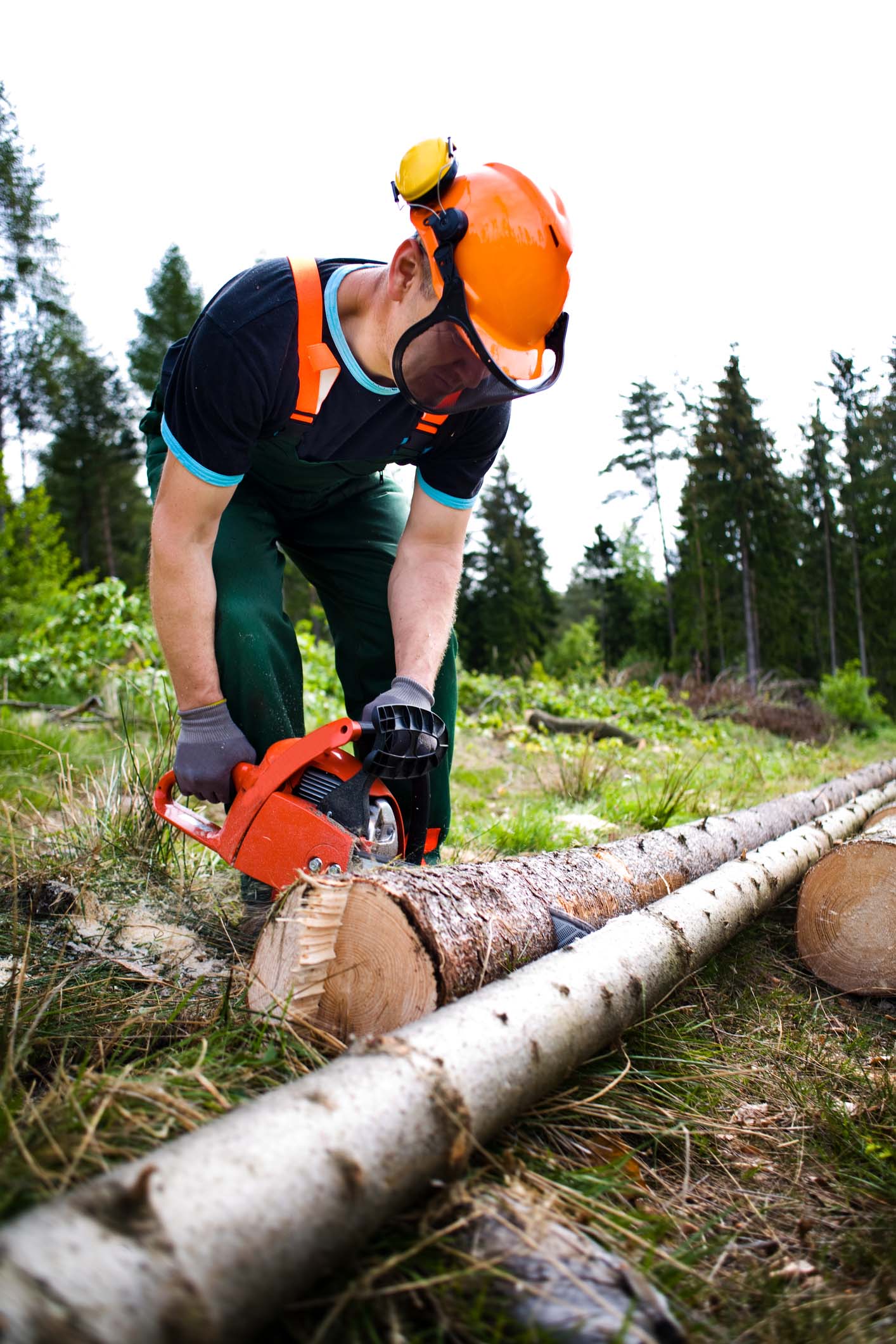 Lumberjack — Fort Wayne, IN — Mudrack Tree