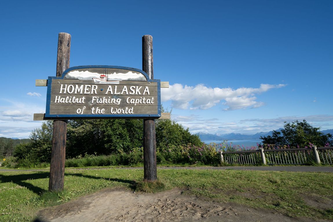 A sign for homer alaska is sitting in the middle of a grassy field.