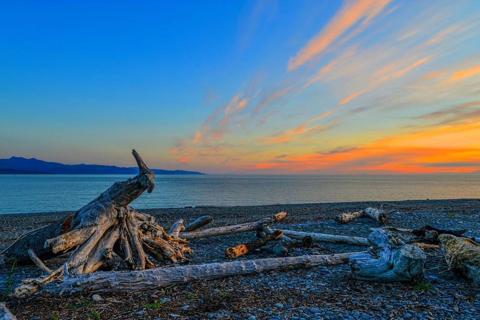 A pile of driftwood on a beach at sunset.