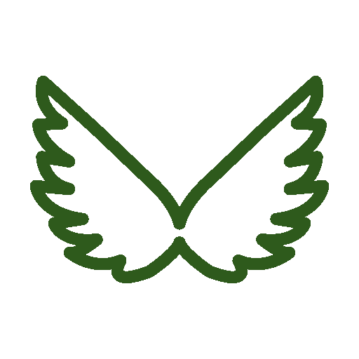 Butte SPIRIT wings