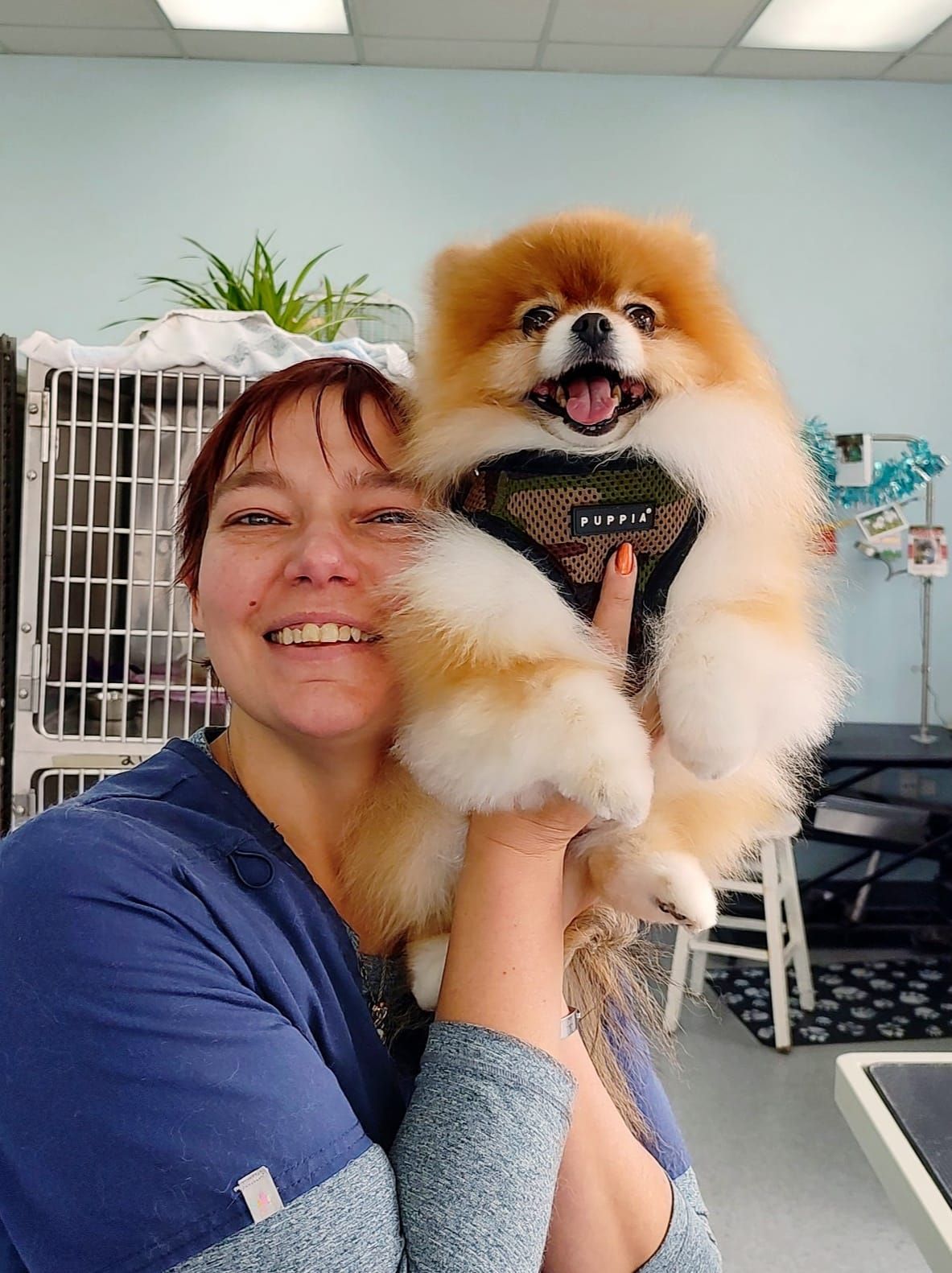 Woman holding a fluffy orange and white Pomeranian dog in a grooming shop, both smiling.