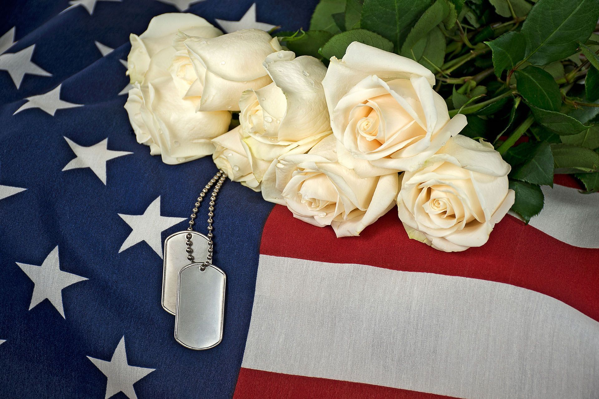 White roses and military dog tags resting on a folded American flag