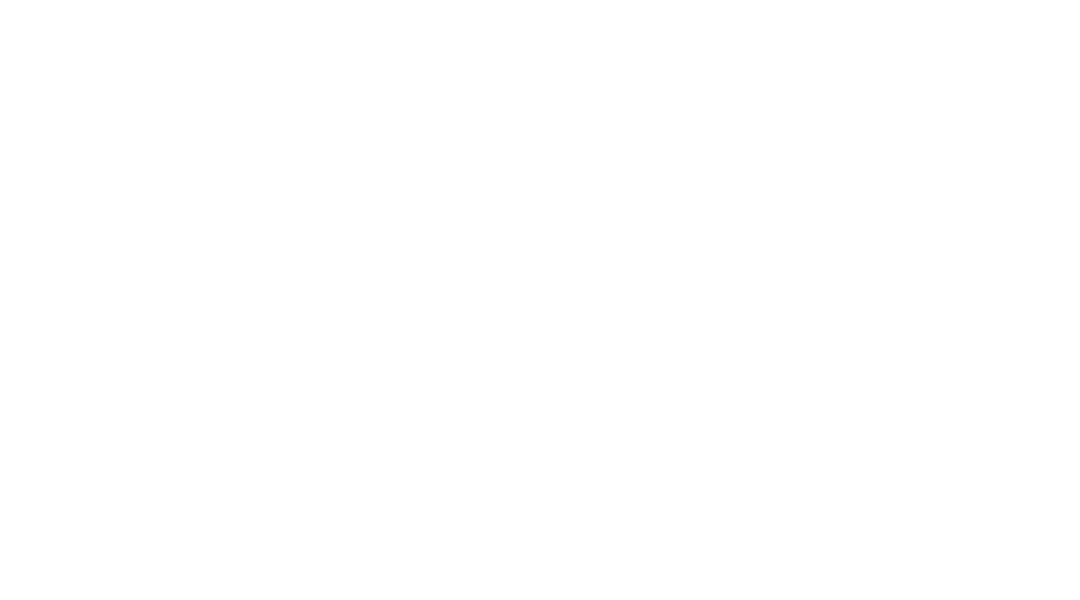 Förderpartner Nemesis Reinigungsservice Logo Förderpartner Nemesis Reinigungsservice