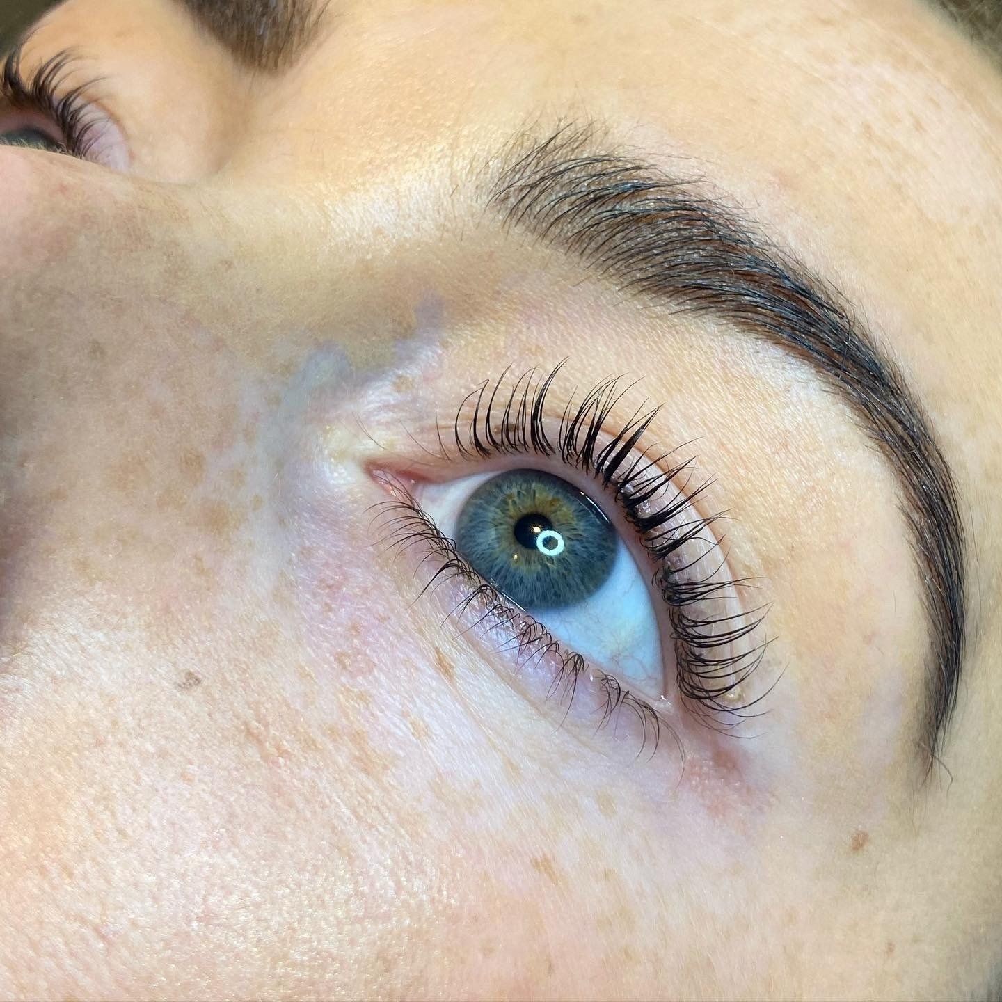 Close-up of a woman's eye with blue iris, dark lashes, and groomed, dark eyebrow.