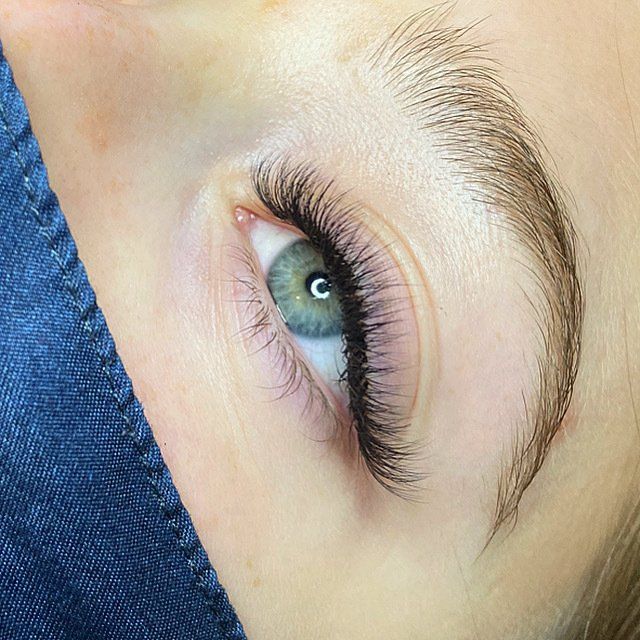 Close-up of an eye with long, black lash extensions and a neatly groomed eyebrow.
