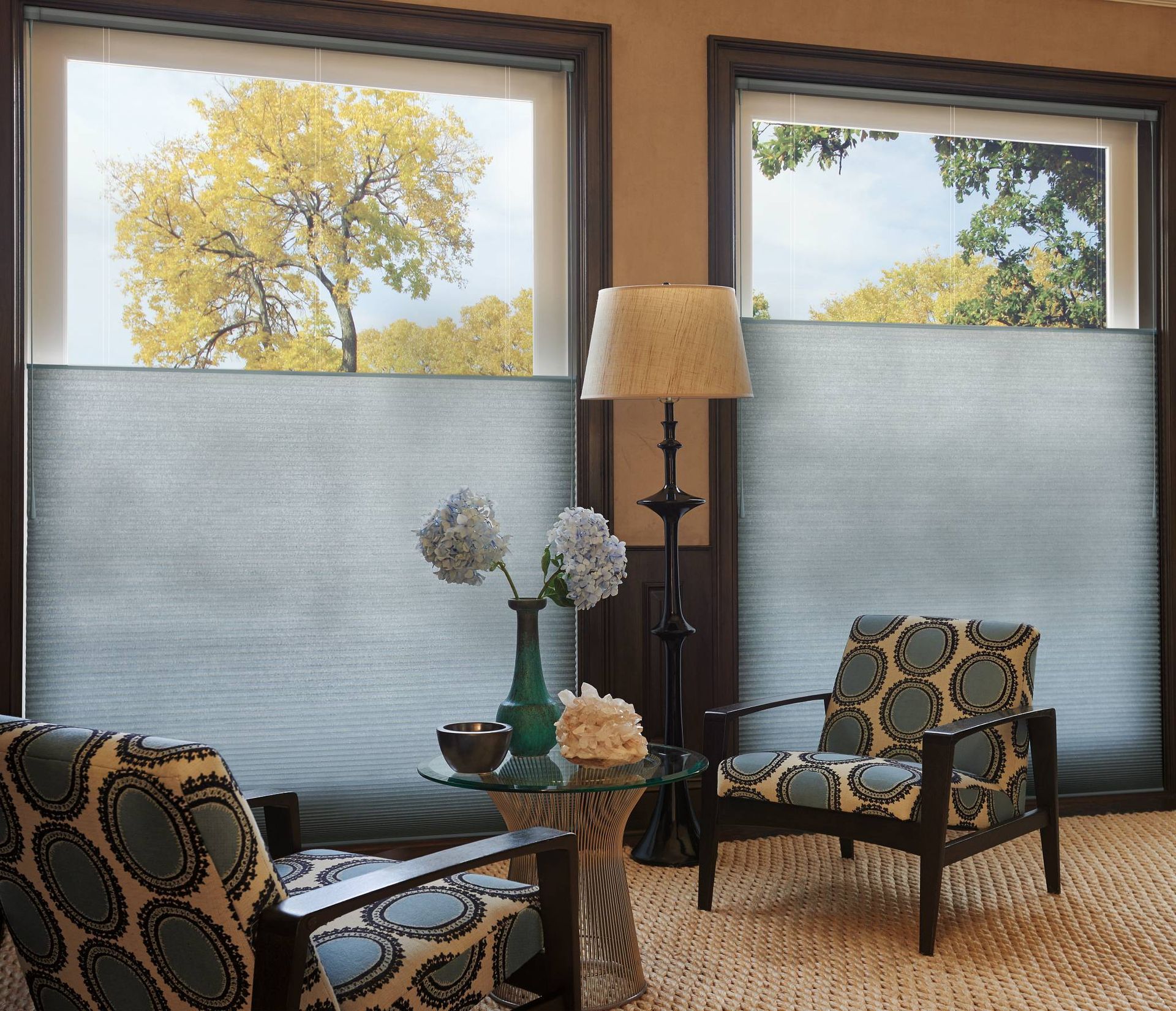 Hunter Douglas Duette® Honeycomb Shades covering a window near greater Houston, TX