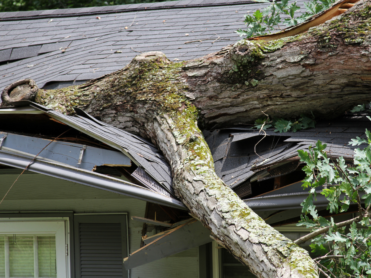 roof services indianapolis