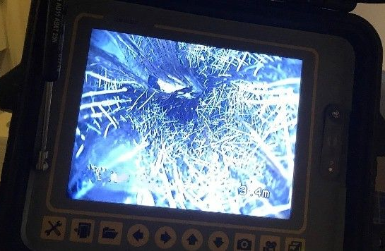Close up Of a Small Screen Showing Blue Tinted Dirty Pipe Line — Port Macquarie Plumbing In Wauchope, NSW