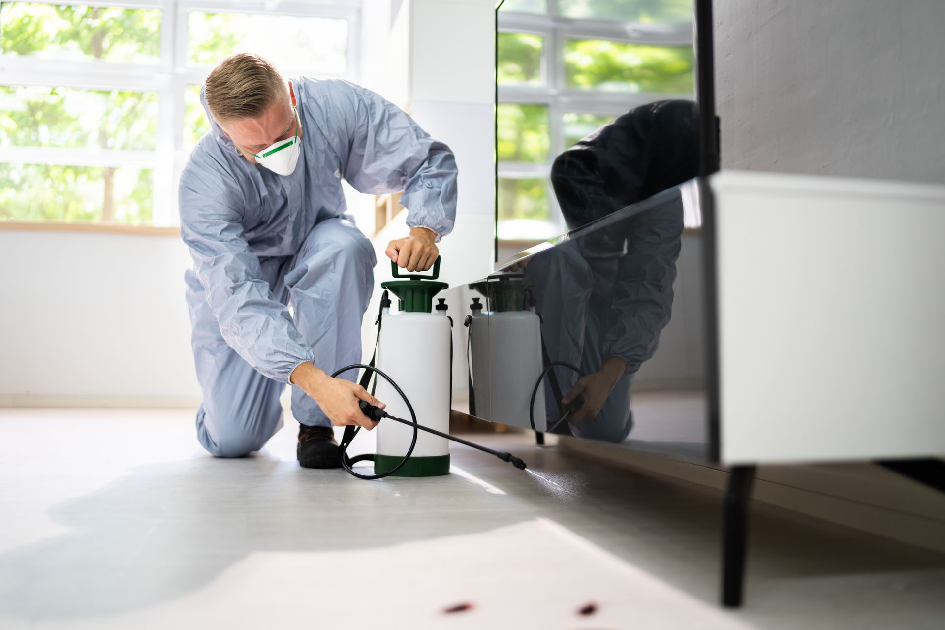 Pest control exterminator spraying insecticide. Pest control exterminator spraying insecticide.