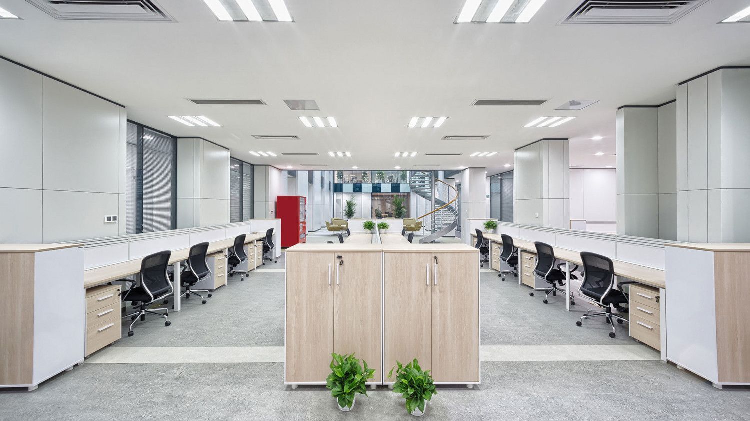Office with desks and chairs in a spacious room after pest control treatment.