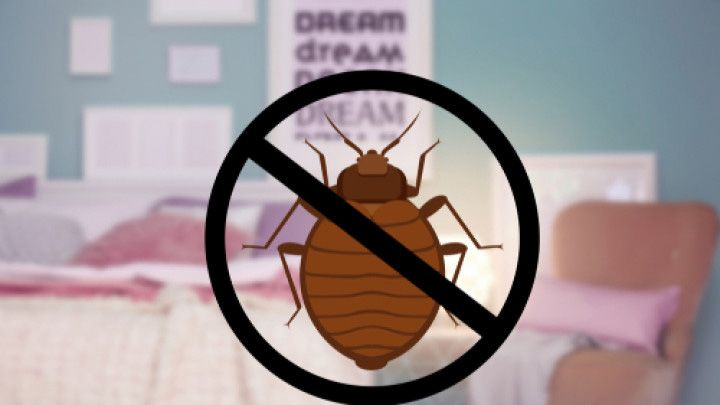 Bed with a bedbug crossed out in a circle. Prevention symbol.