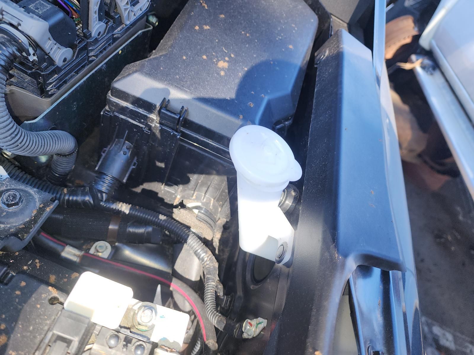 Open Engine Bay With White Fluid Reservoir — South West 4WD Wreckers In Harristown, QLD