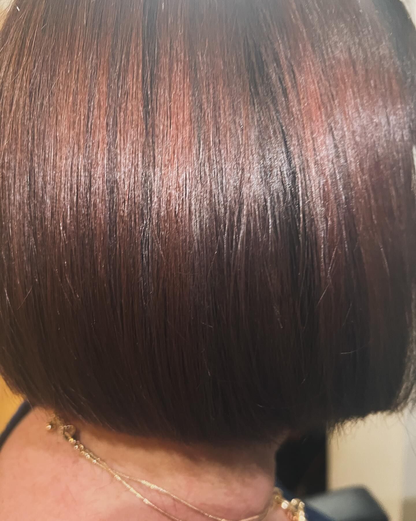 Short dark brown bob haircut with a glossy finish, viewed from the back.