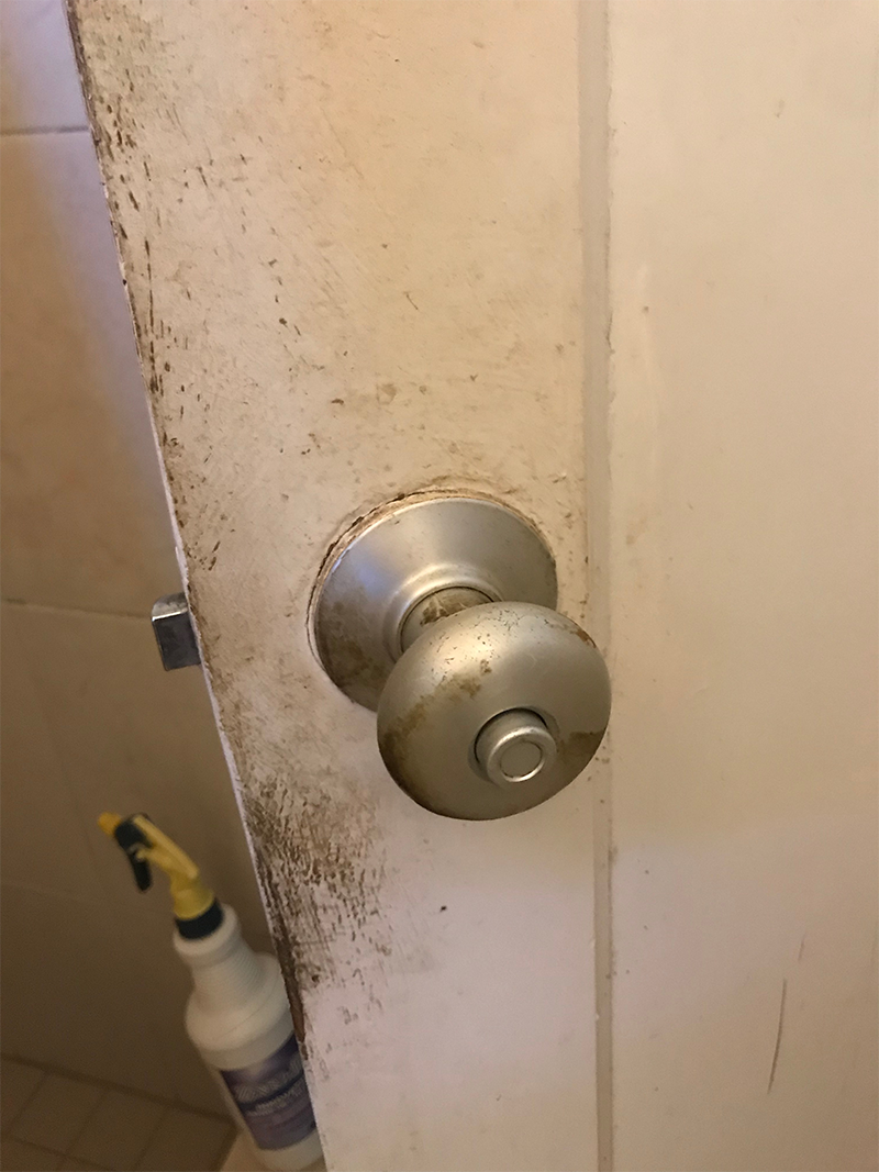 The Home Team Cleaning House Cleaning Honolulu, HI