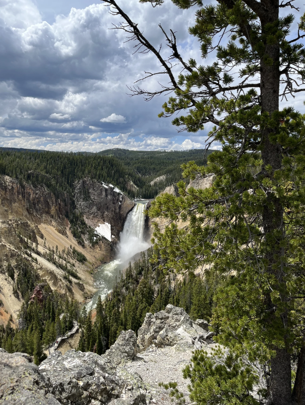 A waterfall is surrounded by trees and rocks in the middle of a forest.