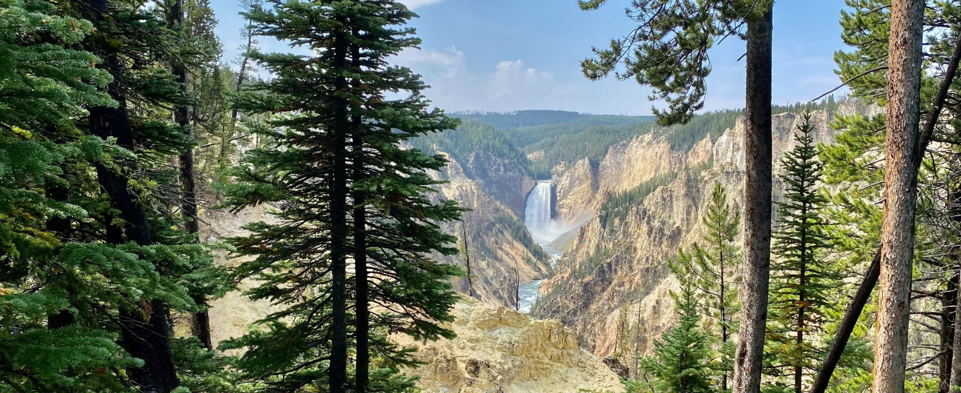 A view of a waterfall through the trees in a forest.