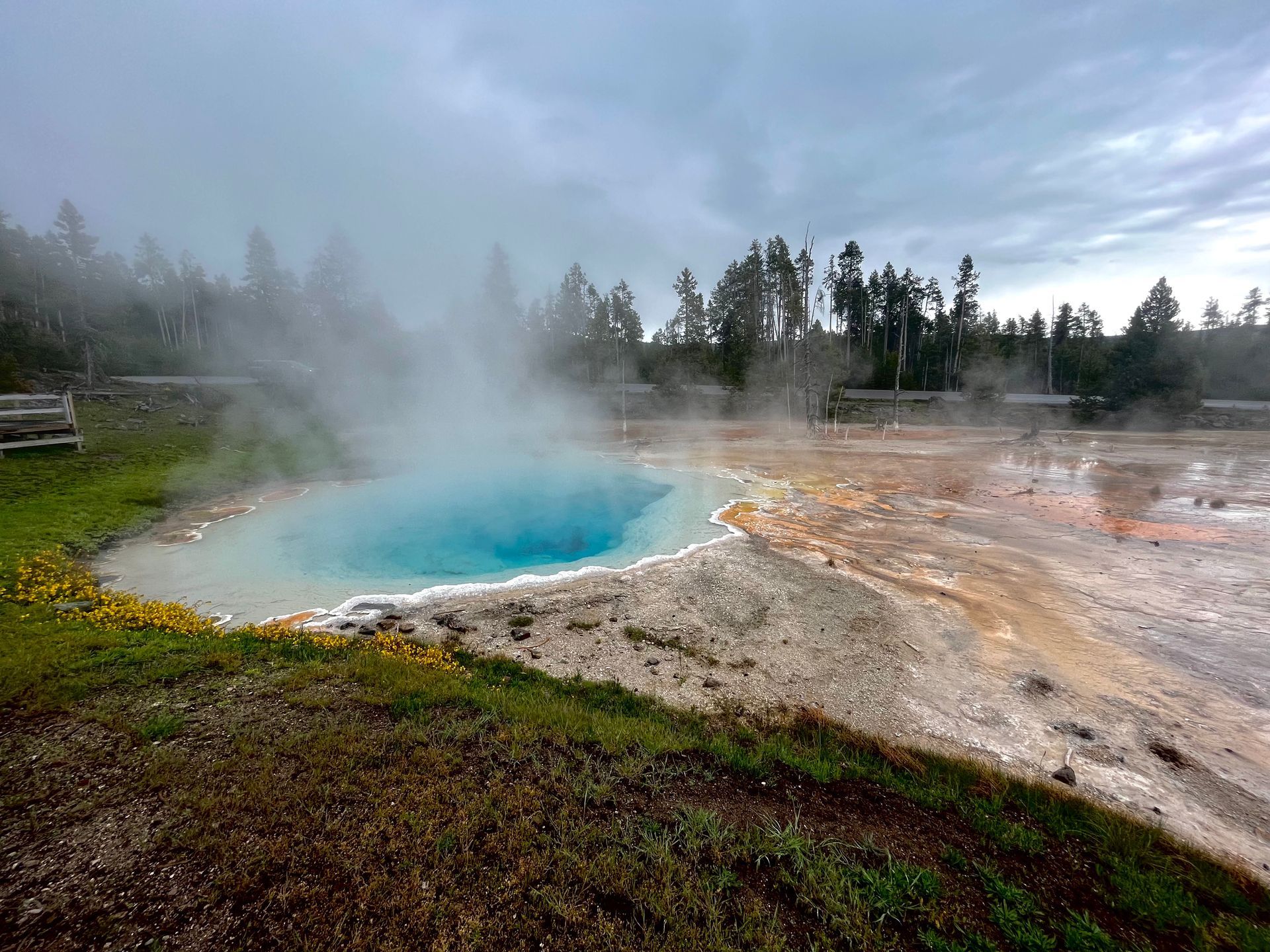 A blue pool of water with steam coming out of it in a field with trees in the background.