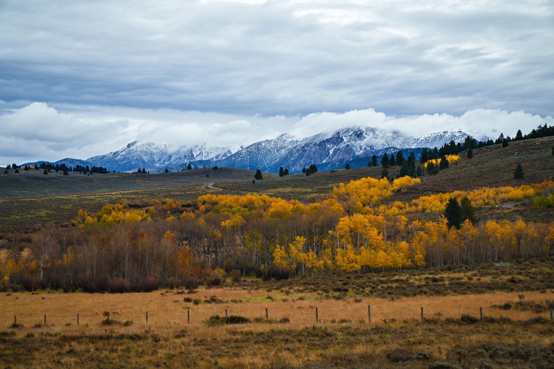 A field with trees and mountains in the background and a fence in the foreground.