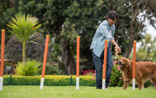 Dog Training — Long Island, NY — Earth Dog Inc.