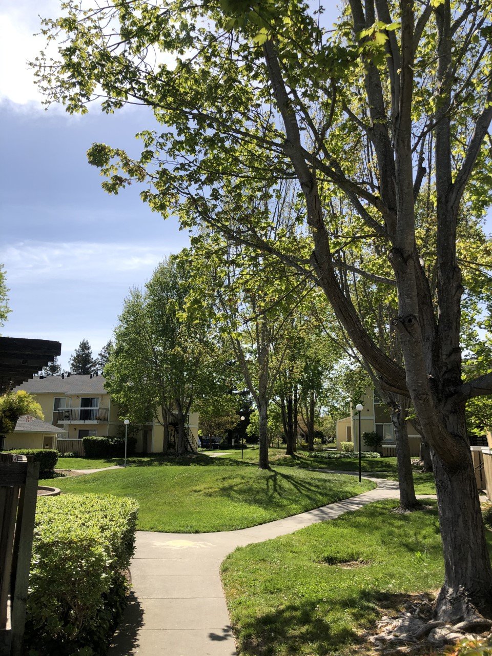 Ignacio Pines Apartments, Novato, CA. For Rent