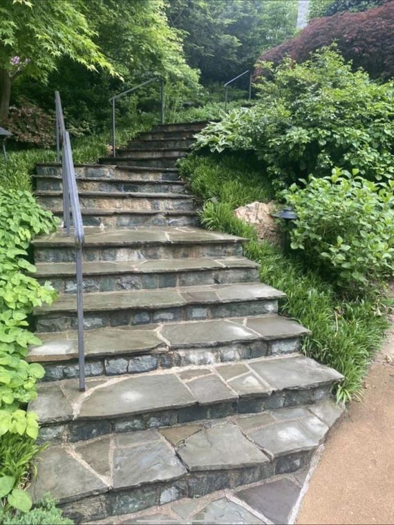 Stone steps with a metal handrail ascend through lush greenery.