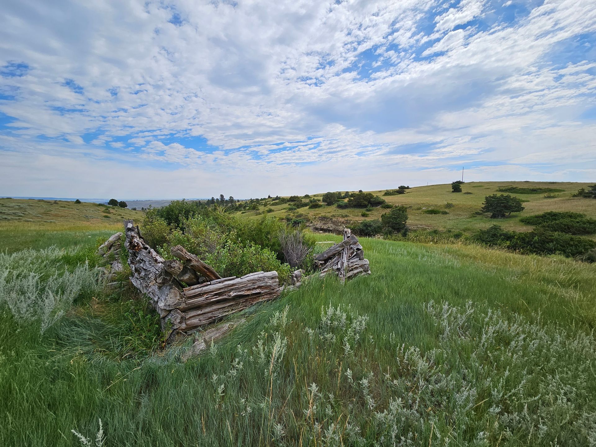 Remains of wooden structure overgrown in a grassy field under a cloudy sky.