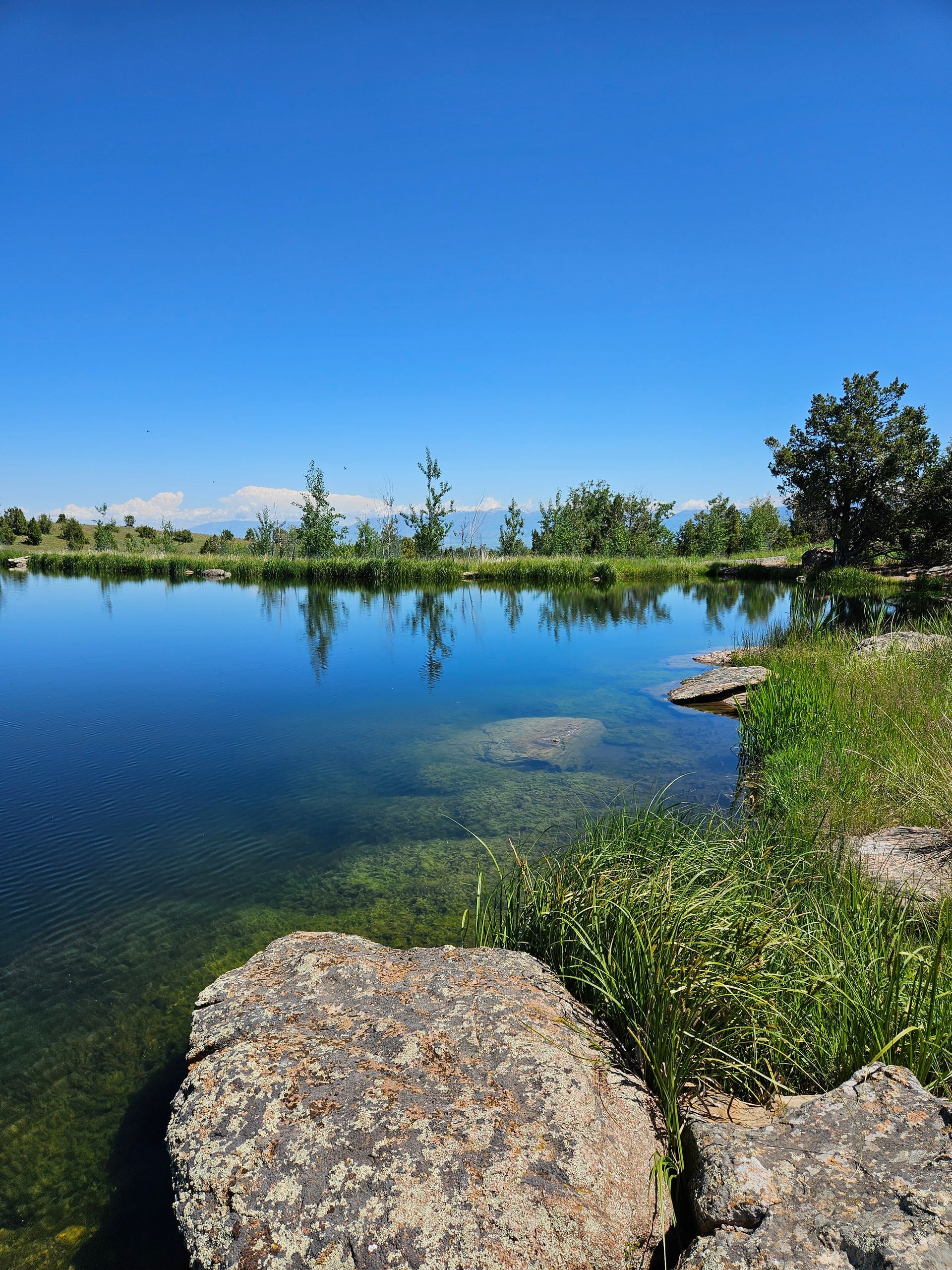 Clear blue sky over a still pond with reflections of trees. Large rocks and greenery in the foreground.