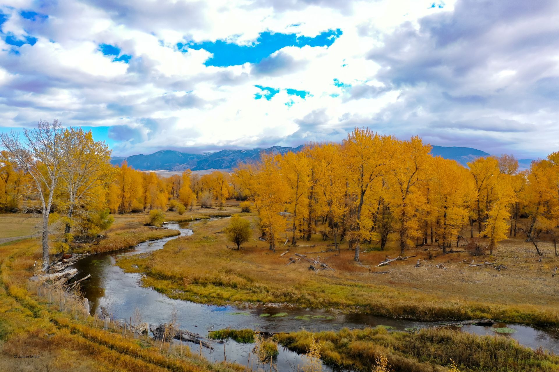 River winds through autumn trees with yellow leaves under a cloudy sky.