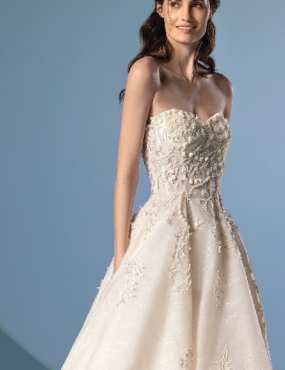 A woman in a white wedding dress is standing in front of a blue background.