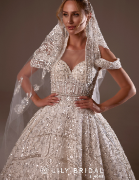 A woman in a wedding dress with a veil on her head