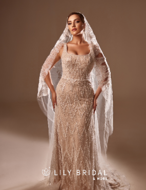A woman is wearing a wedding dress and veil.