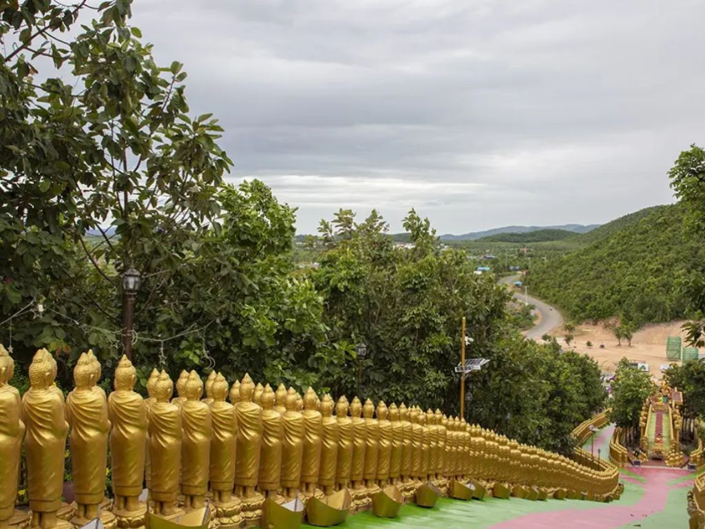 Private day tour to Phnom Tamao Wildlife Center and Buddha Kiri, featuring rescued animals and scenic temple views in Cambodia.