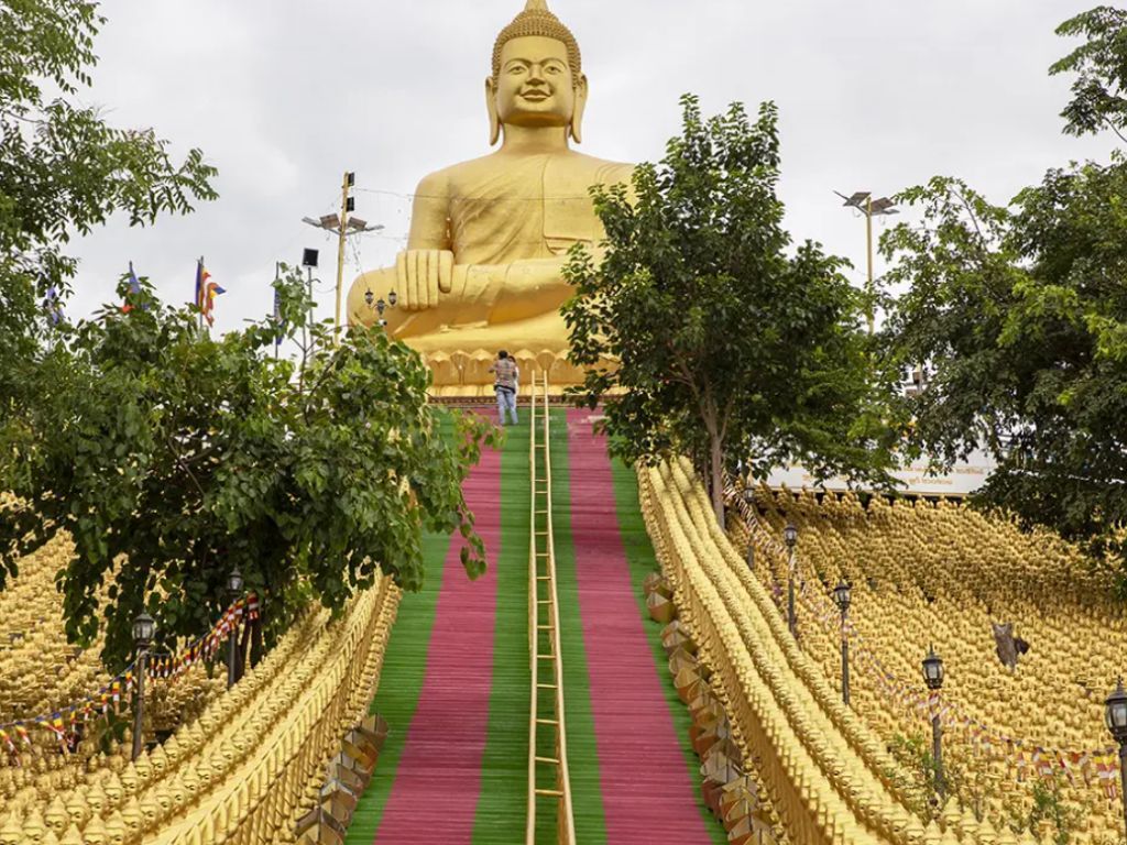Private day tour to Phnom Tamao Wildlife Center and Buddha Kiri, featuring rescued animals and scenic temple views in Cambodia.