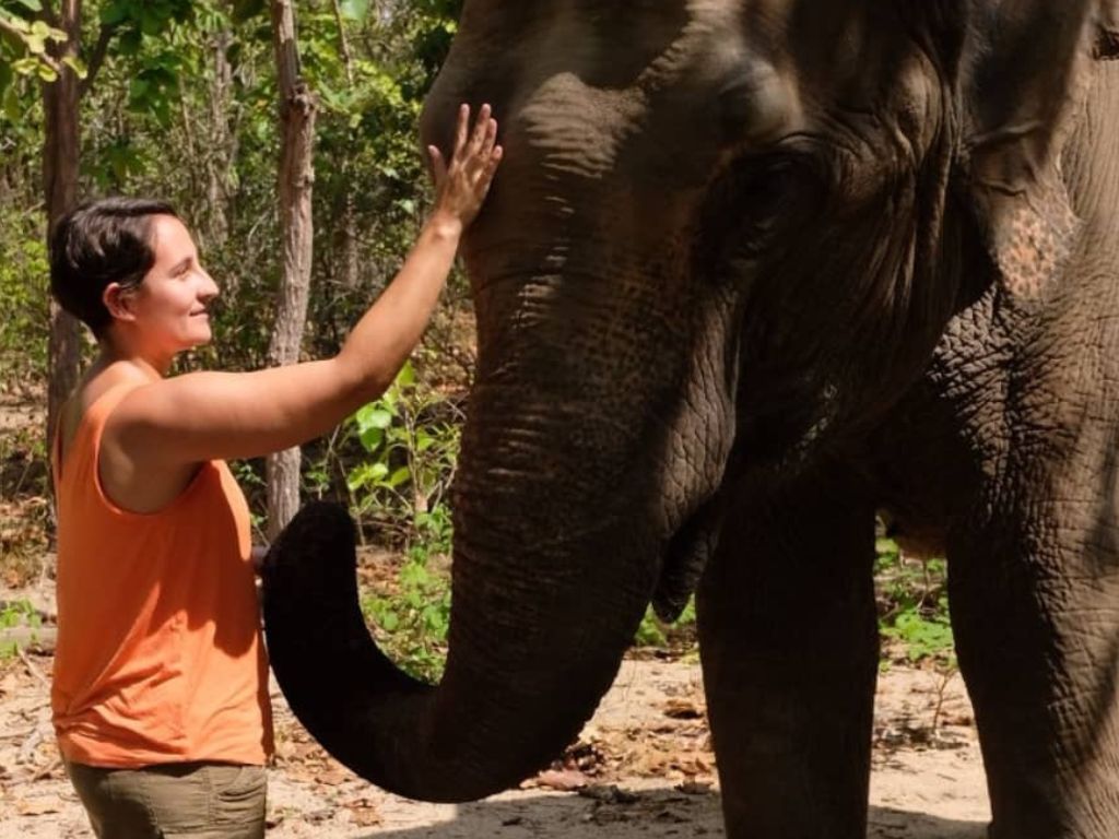 Private day tour to Phnom Tamao Wildlife Center and Buddha Kiri, featuring rescued animals and scenic temple views in Cambodia.