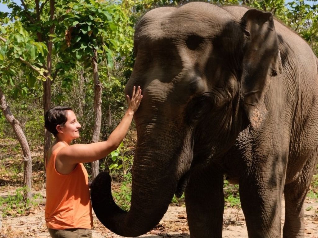 Private day tour to Phnom Tamao Wildlife Center and Buddha Kiri, featuring rescued animals and scenic temple views in Cambodia.
