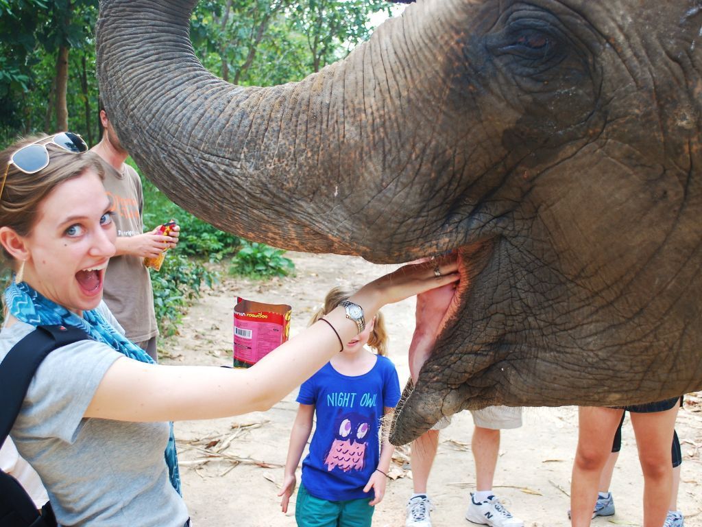 Private day tour to Phnom Tamao Wildlife Center and Buddha Kiri, featuring rescued animals and scenic temple views in Cambodia.