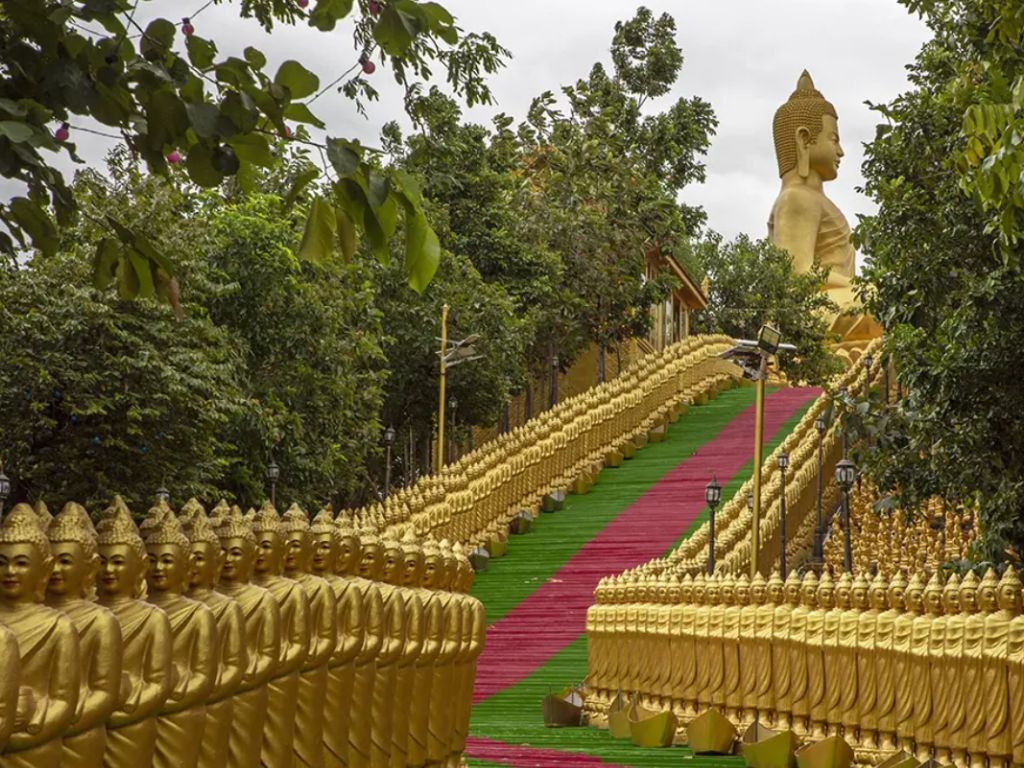 Private day tour to Phnom Tamao Wildlife Center and Buddha Kiri, featuring rescued animals and scenic temple views in Cambodia.