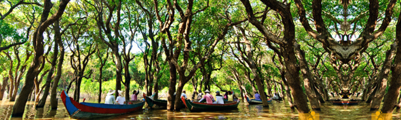 Private tour to Kbal Spean jungle trek, Banteay Srei temple, and Cambodia Landmine Museum near Siem Reap