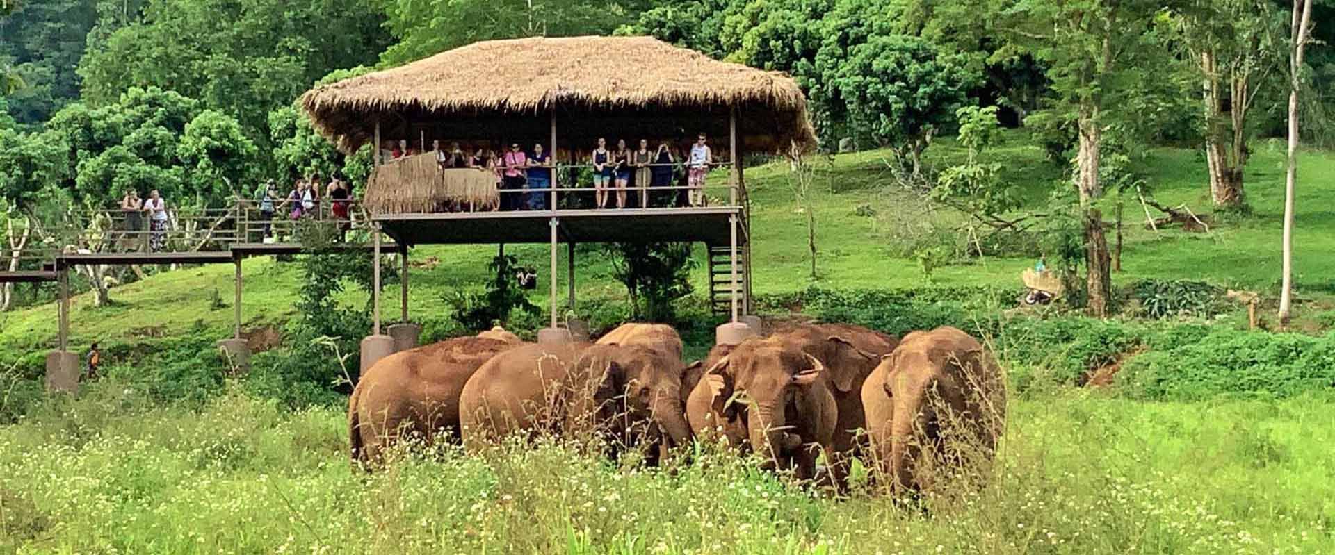 Explore Chiang Rai and Chiang Mai 8 days Tour