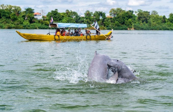 8-Day Cambodia and Mekong River Tour: Siem Reap to Phnom Penh via Kratie