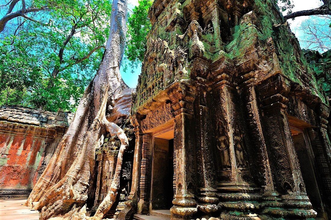 Private 10-day Cambodia tour including Angkor Wat, Phnom Penh, and top cultural highlights with a local expert guide.