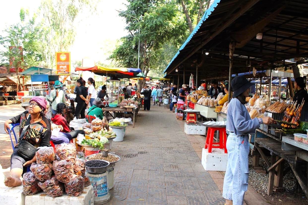Private Phnom Penh 2-day tour visiting top attractions like the Royal Palace, Wat Phnom, and the Killing Fields with an expert guide.