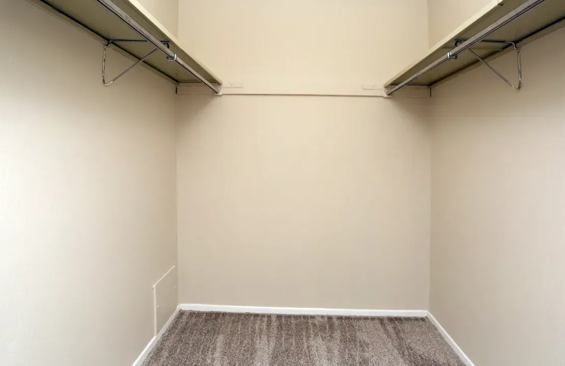 An empty walk in closet with a carpeted floor and shelves.