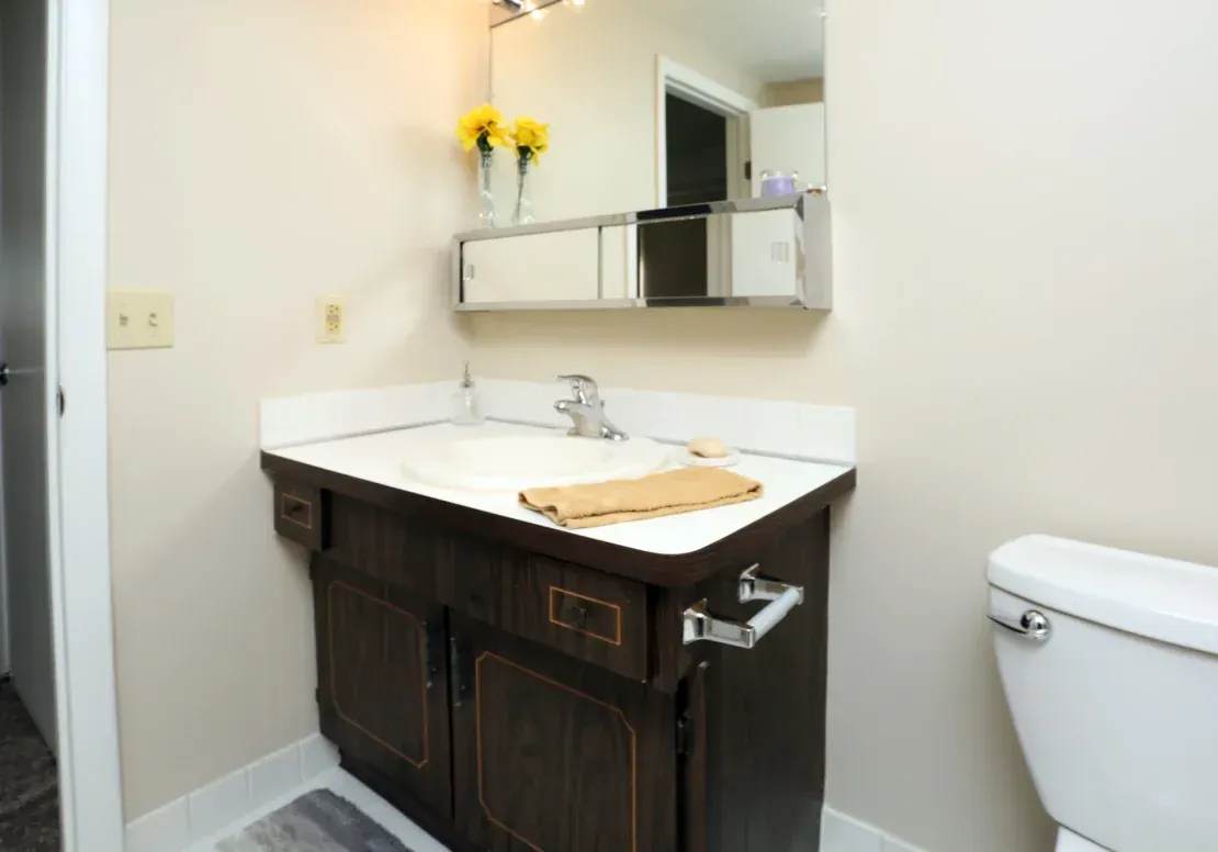 A bathroom with a sink , toilet and mirror.