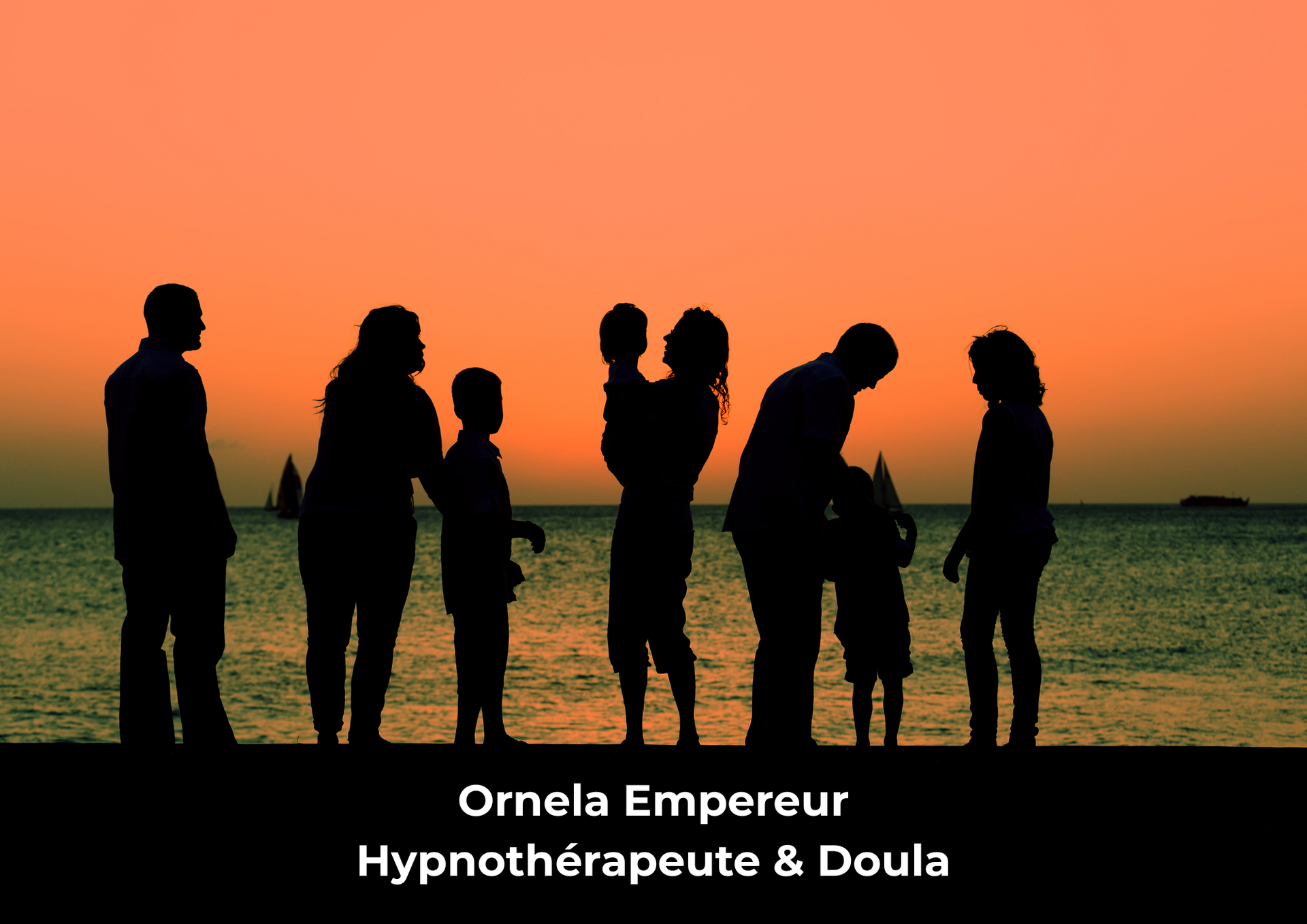 systemie familiale