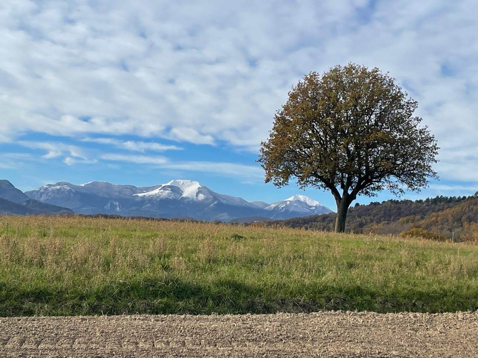 Omgeving Monte-Pino.it