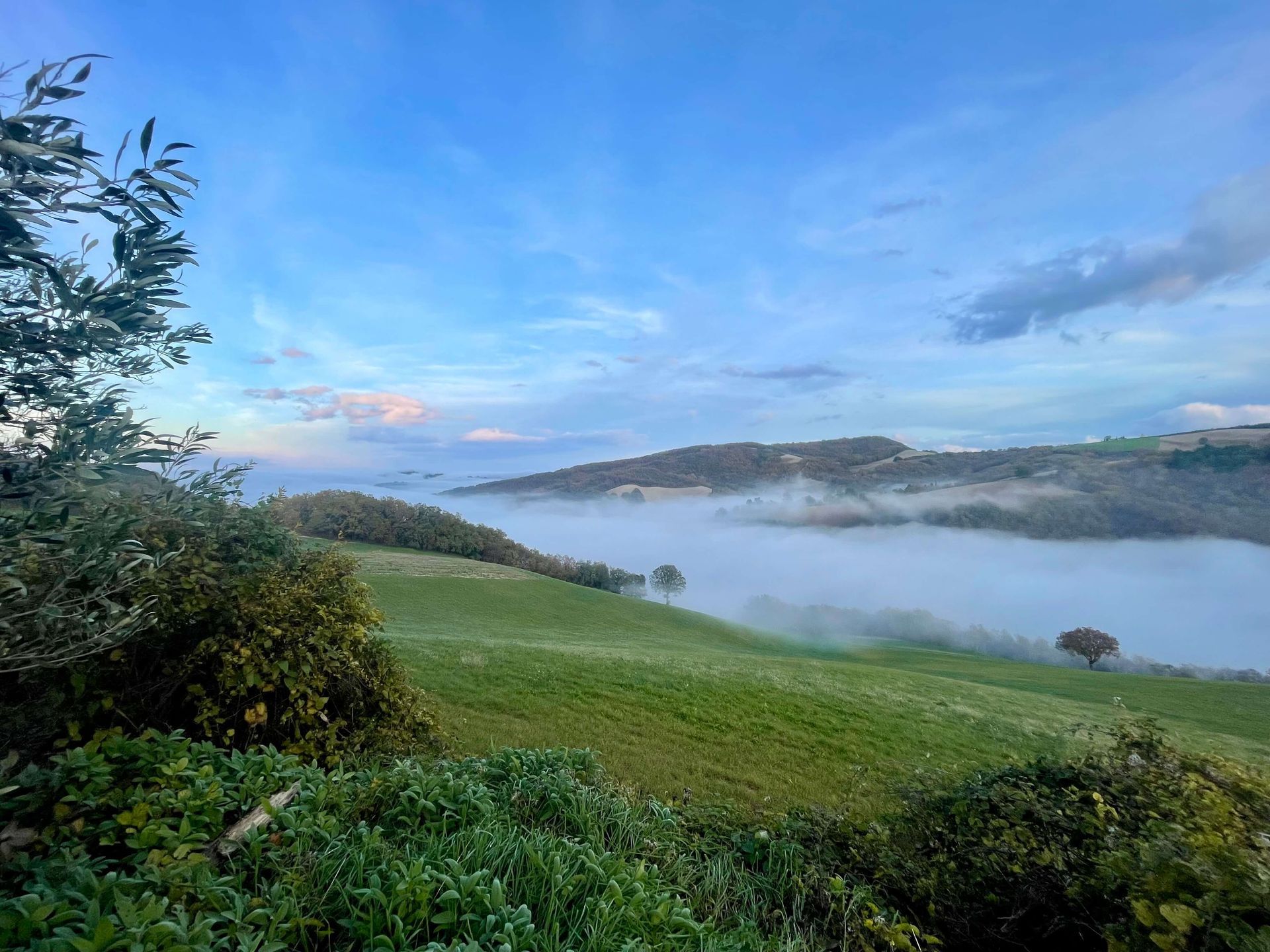 Omgeving Monte-Pino.it