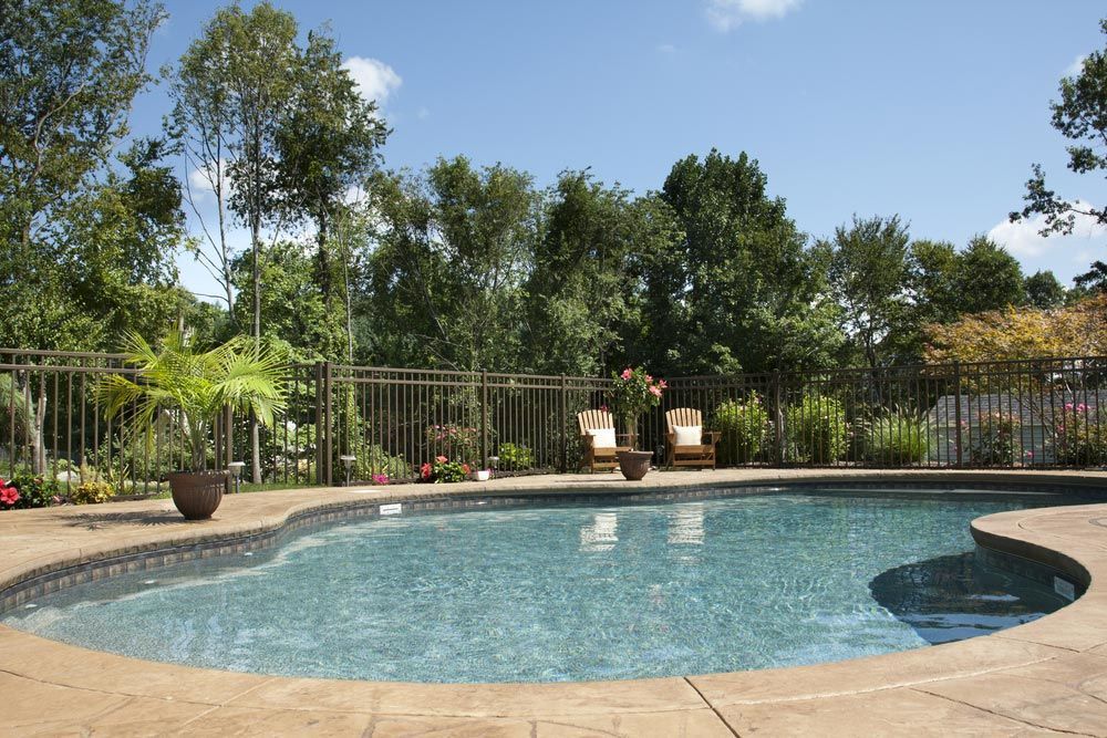 View Beautiful Swimming Pool And Garden And Aluminum Fencing — Professional Pool Builder in Gundagai, NSW