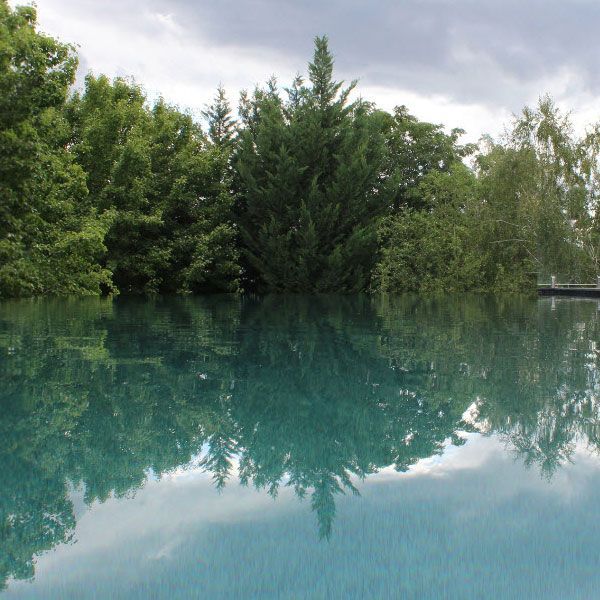 Concrete Pool in Wagga Wagga, NSW
