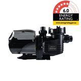Black pool pump with a 6.0 energy rating sticker on a white background.